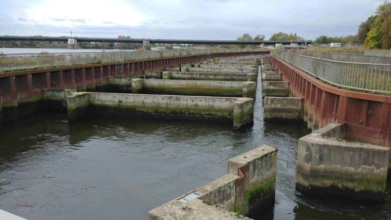 Geschichtsverein Geesthacht