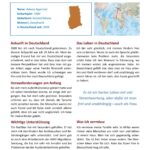 Geschichtsverein Geesthacht