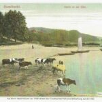 Geschichtsverein Geesthacht