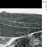 Geschichtsverein Geesthacht