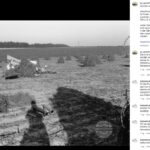 Geschichtsverein Geesthacht