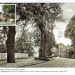 Geschichtsverein Geesthacht