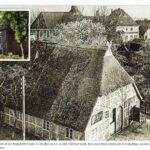 Geschichtsverein Geesthacht