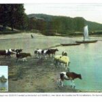 Geschichtsverein Geesthacht