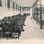 Geschichtsverein Geesthacht