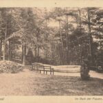 Geschichtsverein Geesthacht